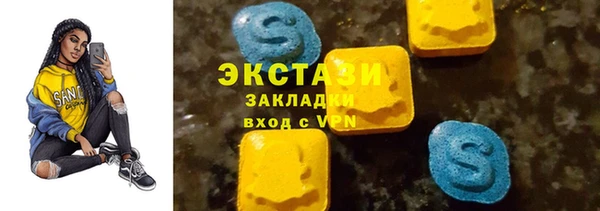 ECSTASY Гусь-Хрустальный