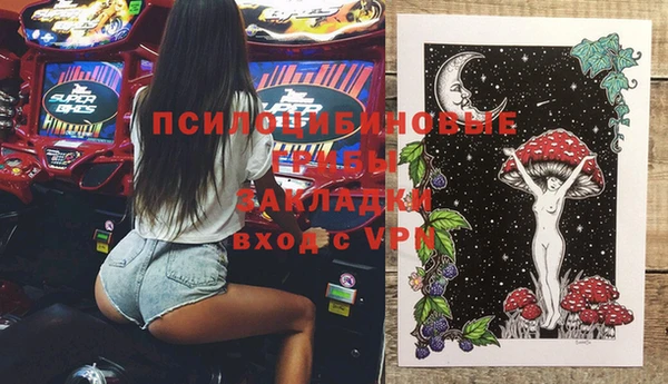 хмурый Балабаново